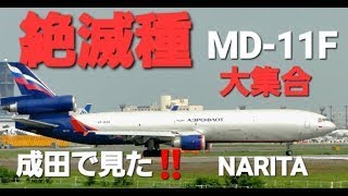 新品未使用) PLANETAGS アエロフロートロシア航空 MD-11F