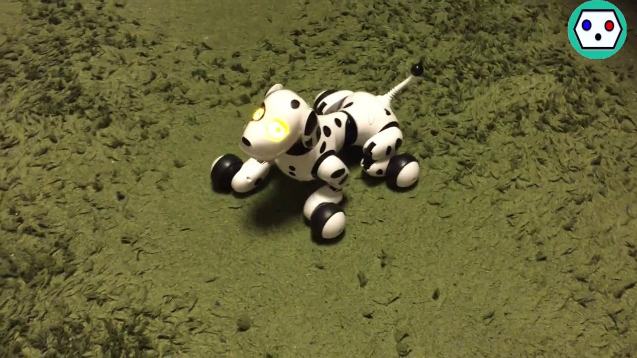 Hello! ZoomeR 〜ハーティダルメシアン〜 - YouTube