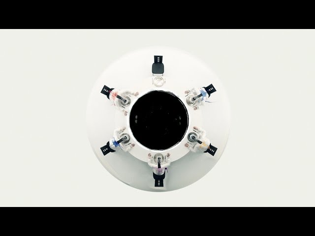 ディルアングレイ ダイから ツアー中受け取ったタオル 本物