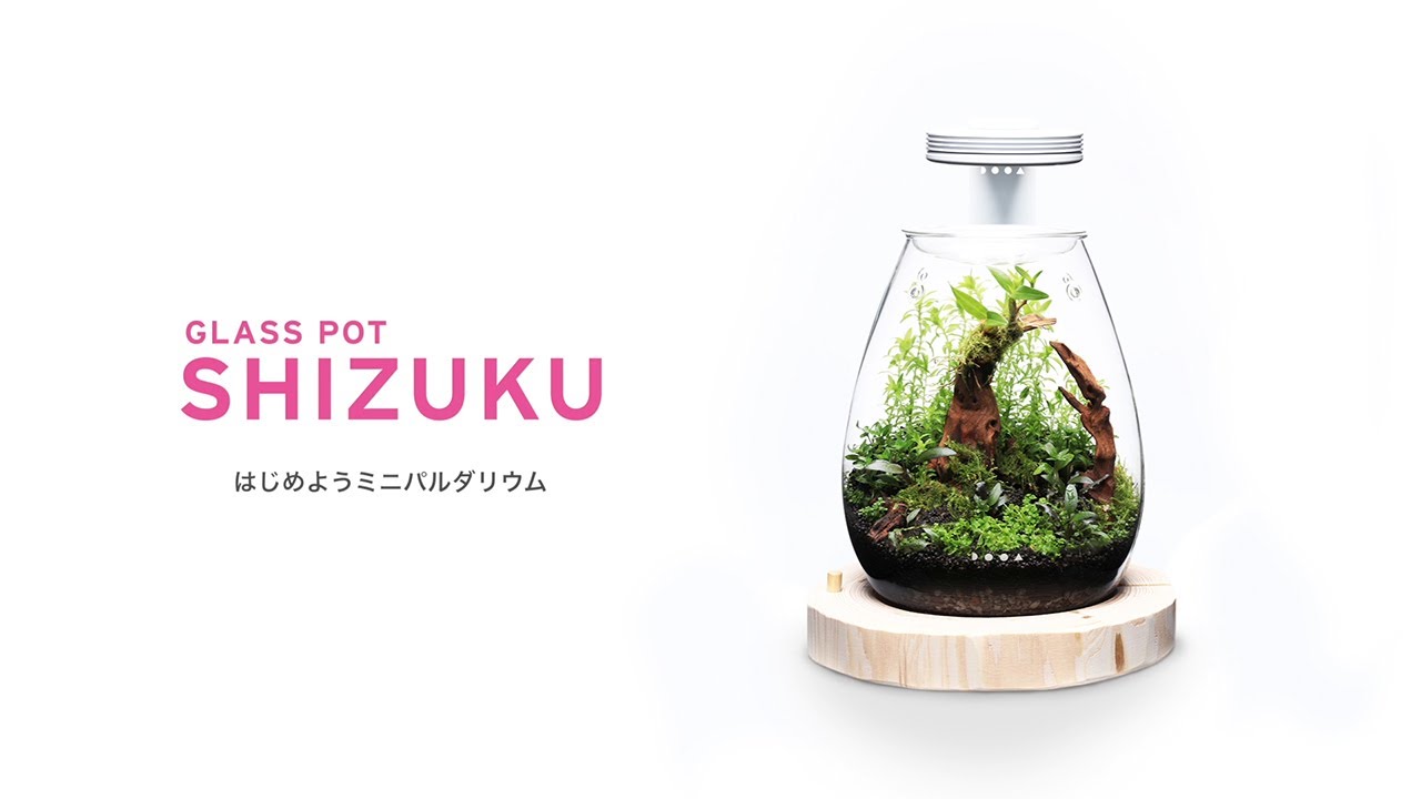 ADAview] How to make mini Paludarium with DOOA Glass Pot SHIZUKU