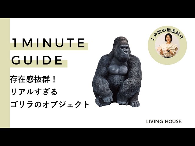 reiさん専用 kare ゴリラ #015 ひととは違う遊び心を KARE ゴリラ