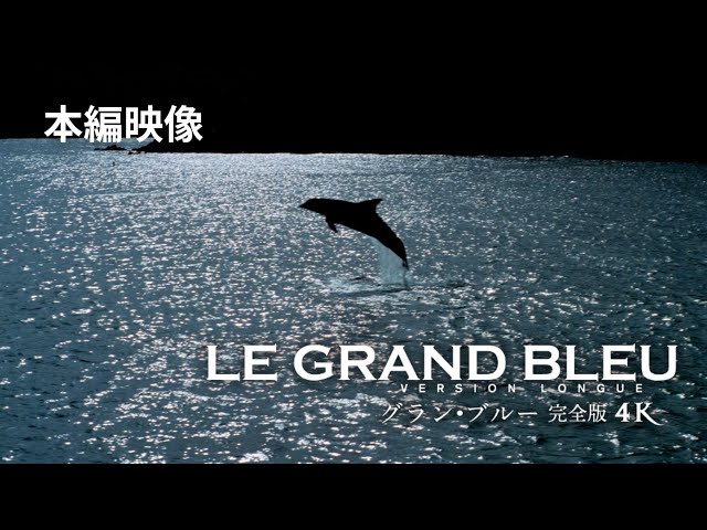 映画『グラン・ブルー 完全版 4K』【本編映像】夜の海辺でイルカと