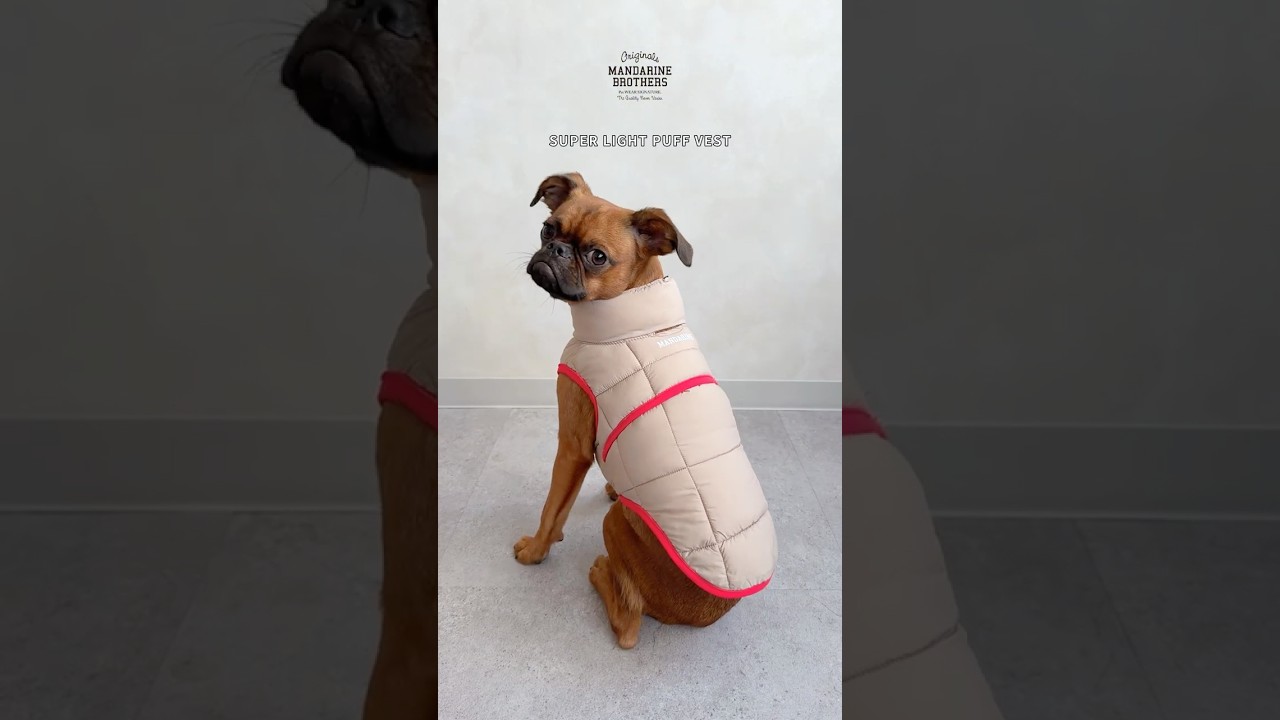 SUPER LIGHT PUFF VEST（M.MD.L） スーパーライトパフベスト