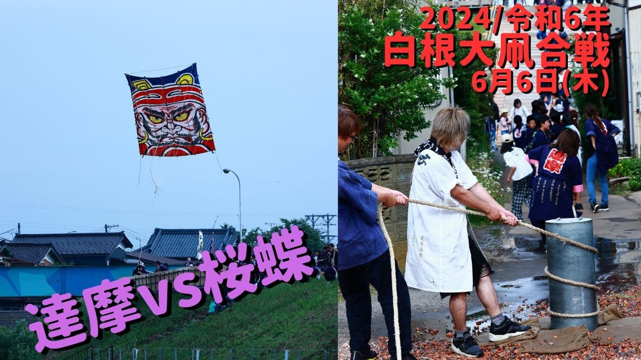 白根大凧合戦2024' 令和6年6月6日(木)達摩組vs桜蝶組！ japanese