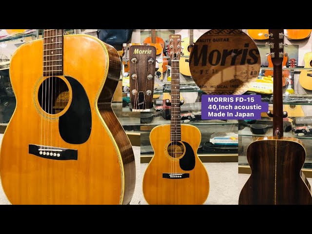 Morris FD-15 40,Inch acoustic guitar Made in Japan 🇯🇵 ( Wilson's