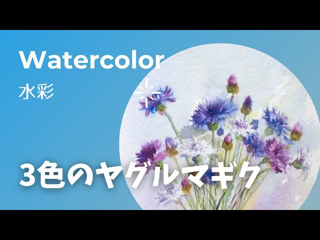 水彩】3色のヤグルマギクを描く - YouTube