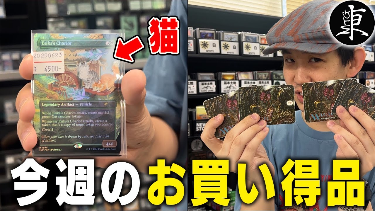 MTG 28日まで限定 売り切り MTG] This week's bargains!! [Tokyo MTG