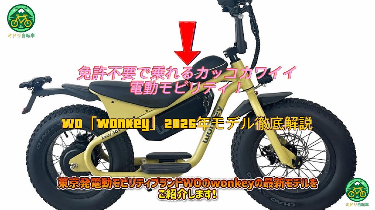 M,sまさ wo wonkey WONKEY BLACK – wobikes