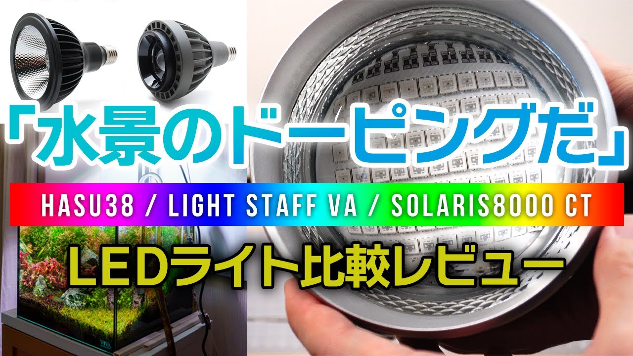 Good value for money! Comparison review of the aquarium RGB light