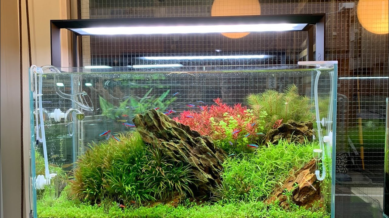 美品 ガラス水槽 水槽台 ADA 照明セット ADAキューブガーデン60 RGB