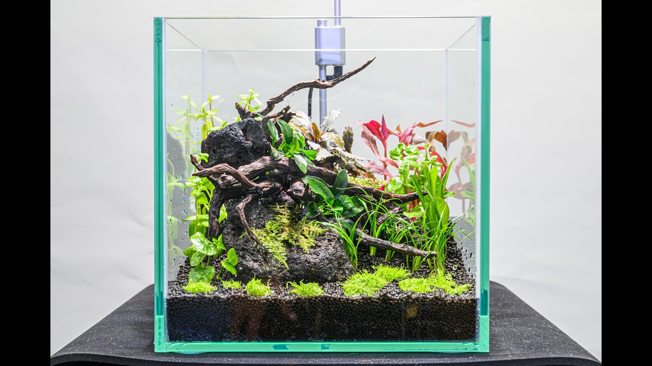 パルダリウム・テラリウム水槽600×300×360 一点商品！特注パルダリウム