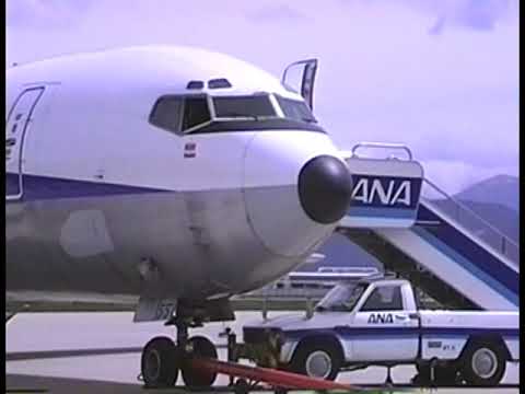 全日空 ボーイング727 B727 退役記念 タイタック ANA 全日空