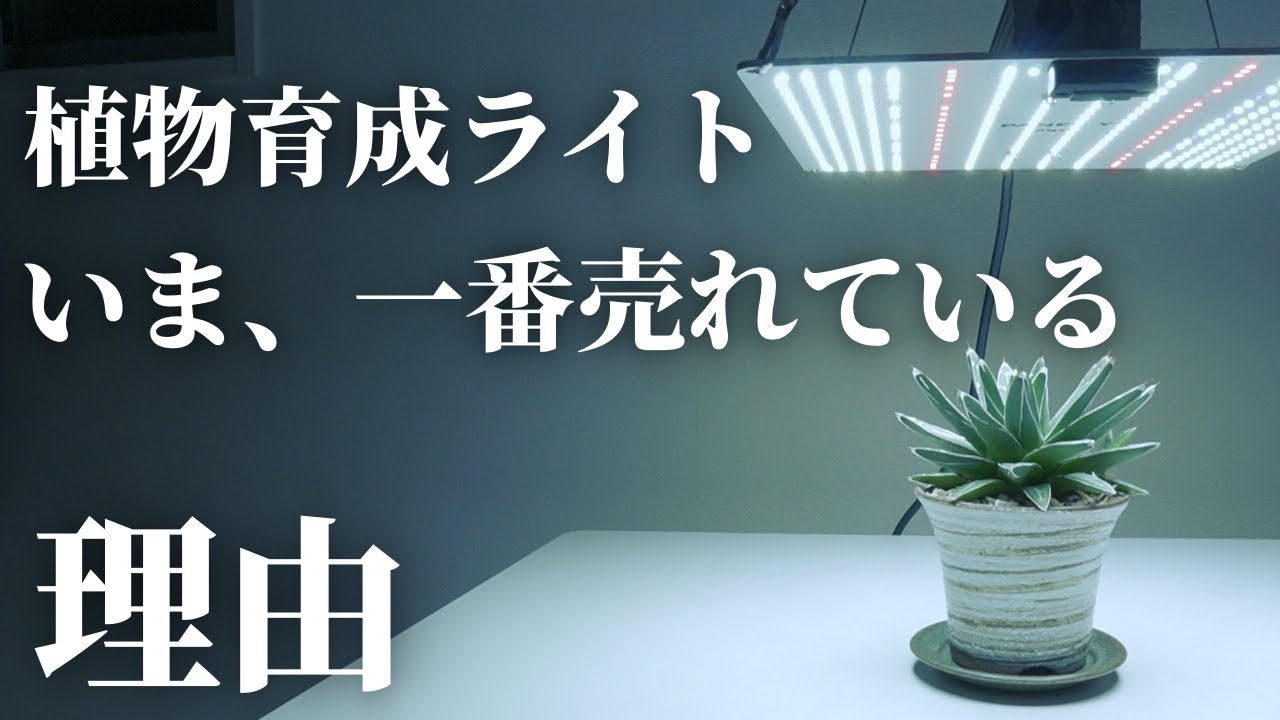 おすすめ】コスパ最強！パネル型植物育成ライト「BRIM(ブリム) PANEL Y