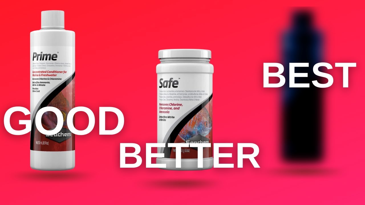 Seachem Pristine 4L デトリタス分解 Seachem Pristine 4L デトリタス分解