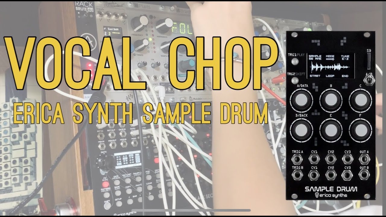 Vocal Chops by Erica Synths Sample Drum #modularsynth #ericasynth