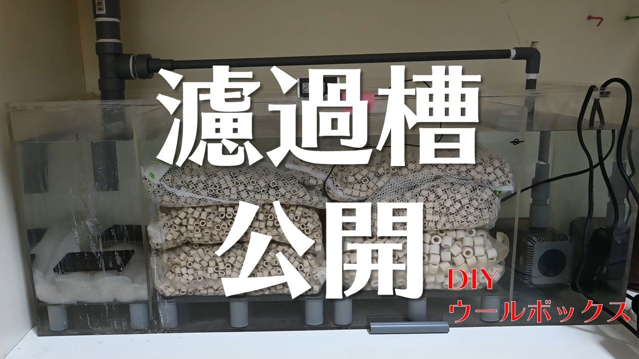 アクリル水槽、自家製濾過槽のみ(ウールBOX付き)。 アクリル水槽
