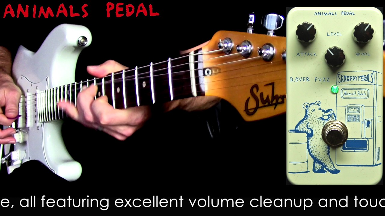 Animals Pedal Rover Fuzz - YouTube