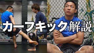 カーフキックミット 左右利用できます カーフキックミット 左右利用