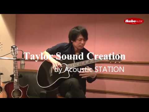 池部楽器店】Taylor Custom 616ce ES1 Black [10本限定生産] Played by