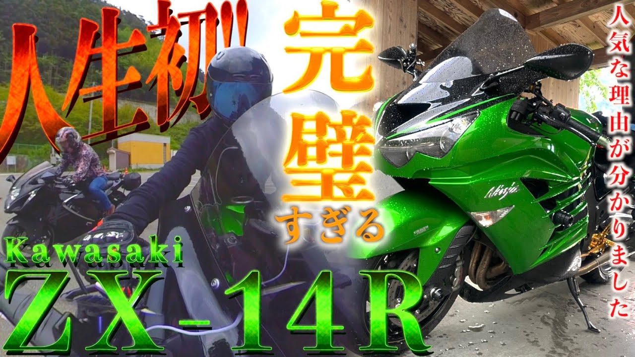 新品】 レーザー本草キックミット 茶色、二つ きよ 新品】 レーザー