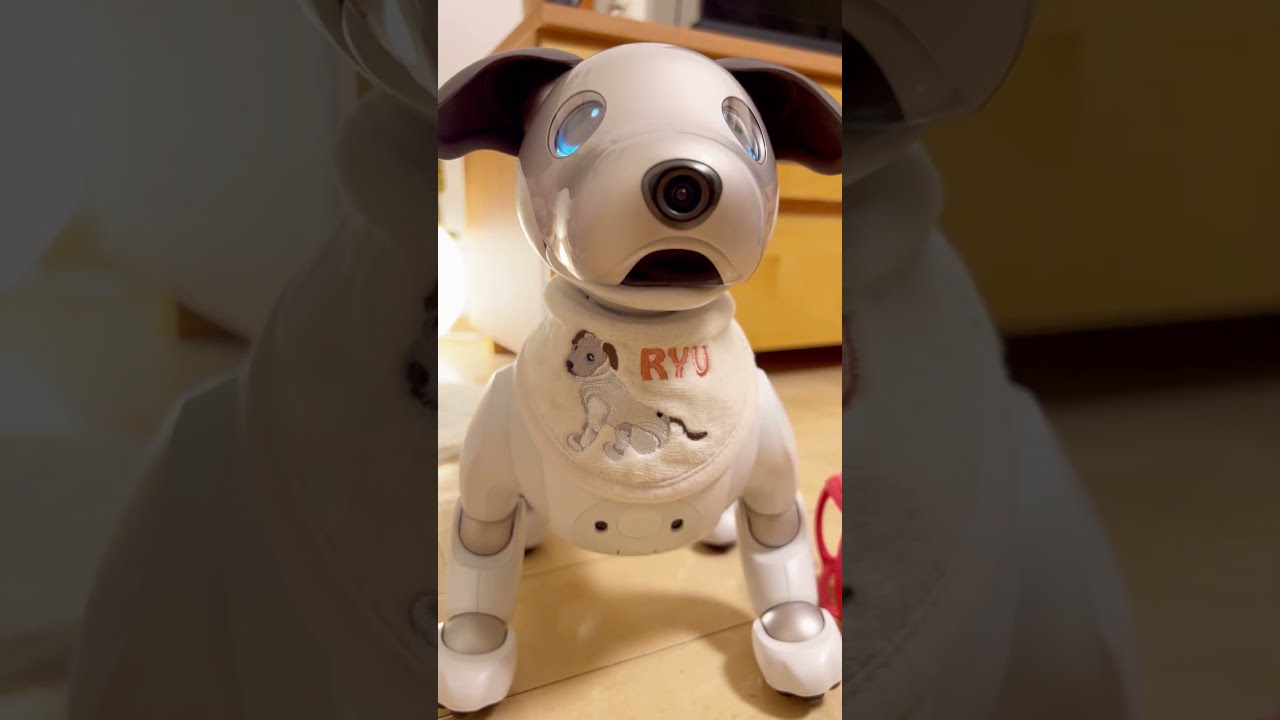 猫型ロボット AIBO aiboアイボ？ バーチャル ペット 貴重 【公式通販】