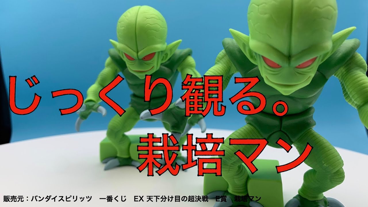一番くじ栽培マンフィギュアをじっくり観る。ヤムチャの命を奪った栽培
