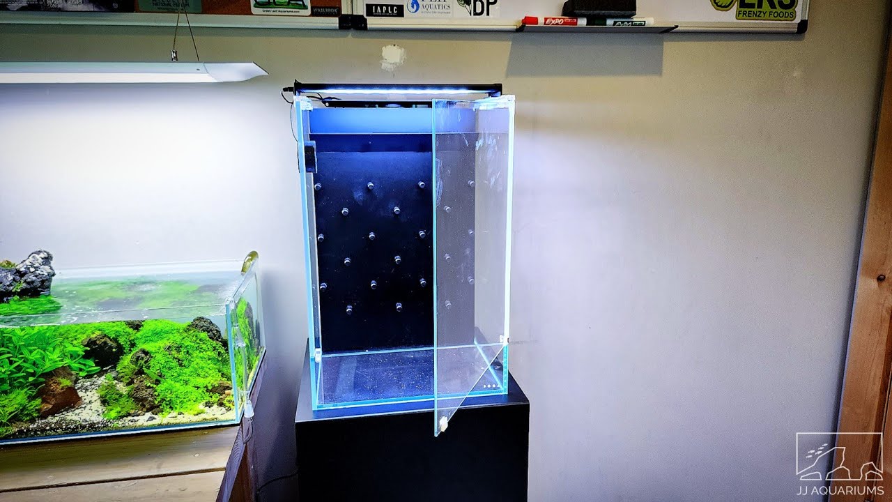 DOOA ネオグラスパルダ30 【公式通販】