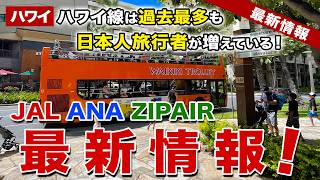 ついに解禁】ポケハ公式グッズ販売スタート🌺 ANA・JAL・ZIPAIRの最新