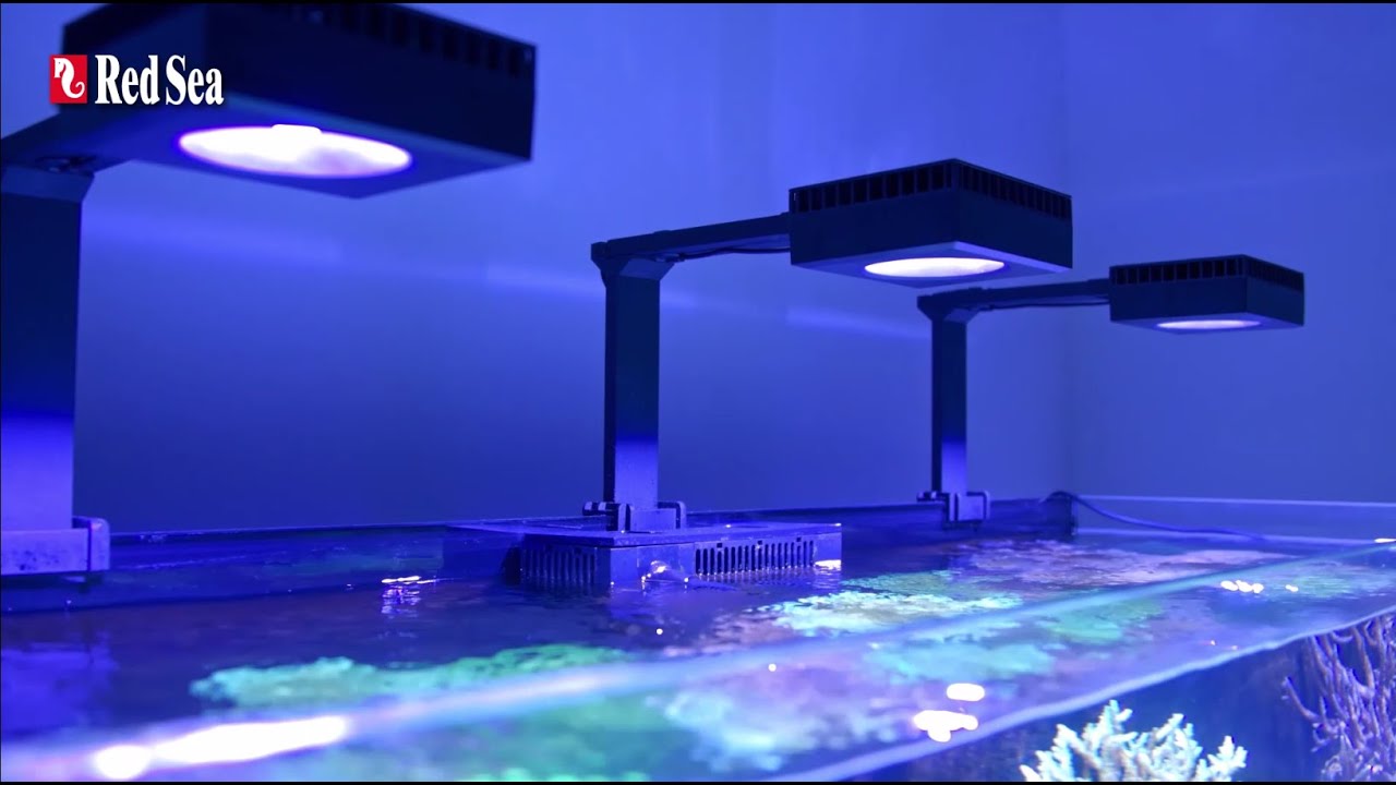 レッドシーのReefLED™－スマート・リーフライティング - YouTube