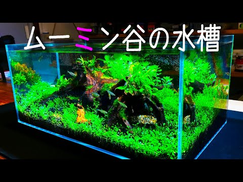 45cm•Low水槽】プロによる流木レイアウト立ち上げ！苔みじん切り！ in