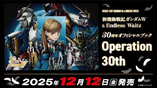新機動戦記ガンダムW セル画 動画 Cel Genga 新機動戦記ガンダムW セル