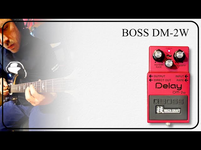 BOSS DM-2w | Demo (No Talking) - YouTube