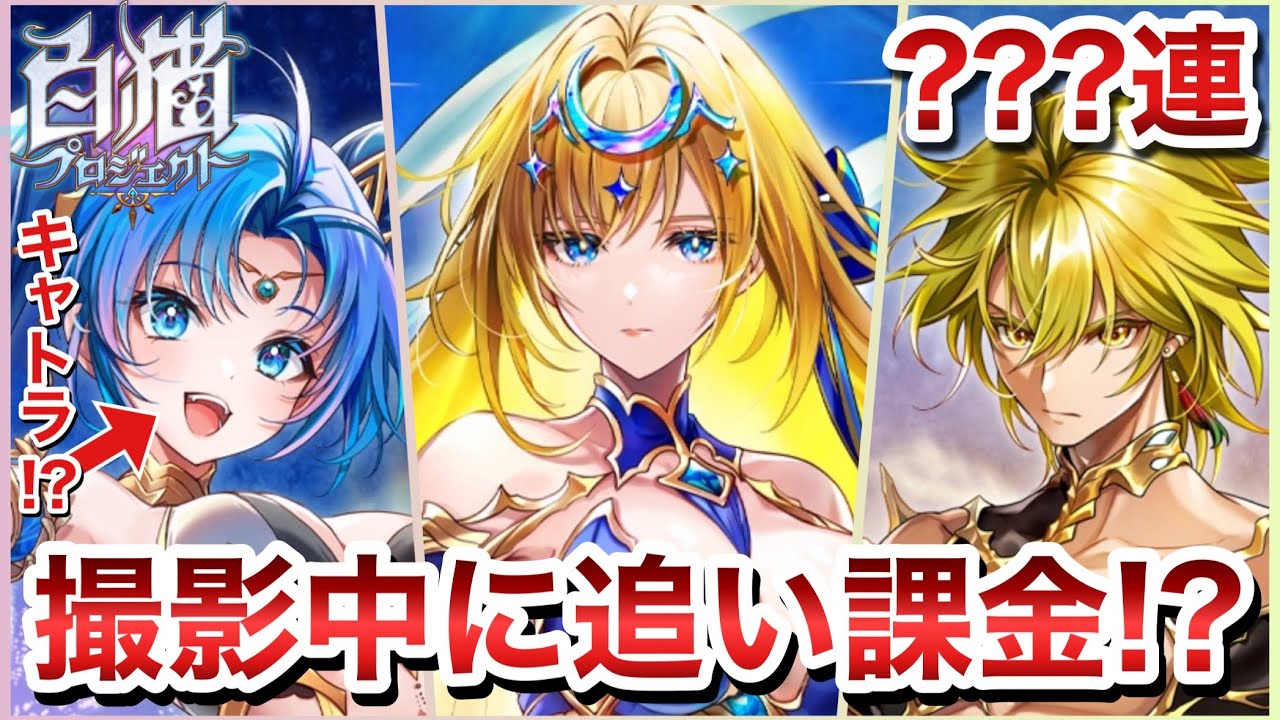 White Cat Project] ZERO:PROLOGUE!!? 