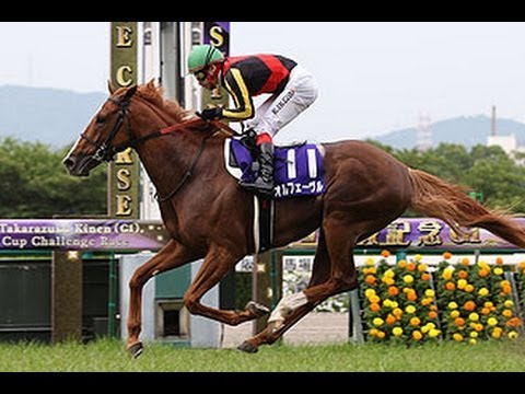 JRAポスター「2013年第54回宝塚記念」 オルフェーヴル JRAポスター