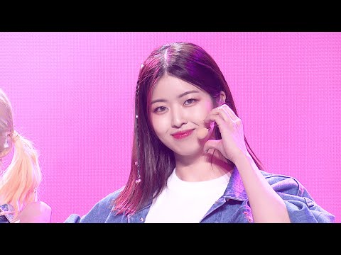 田中優希 国プIDカード トレカ 日プ女子 田中優希 YUUKI 国プID