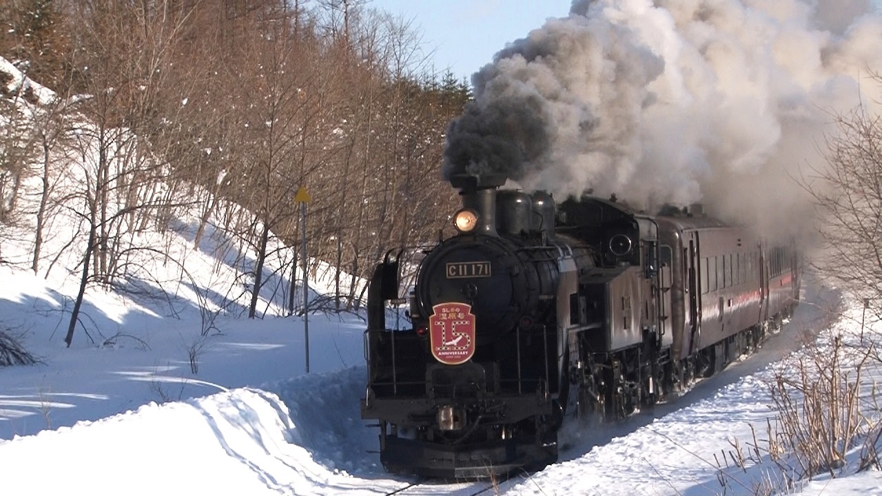 C11－171・207】『SL冬の湿原号』躍動の軌跡・・・重連も