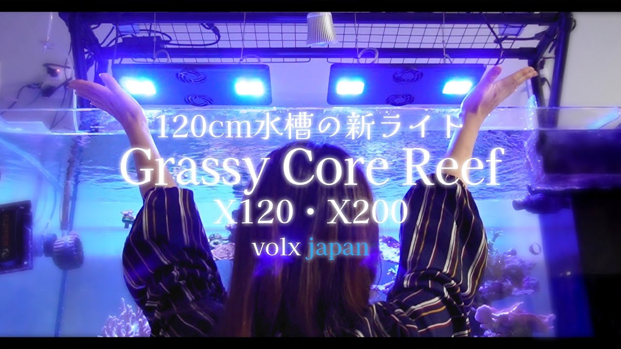 New lighting and light stands installed for a 120cm aquarium tank