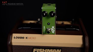 Fishman AFX AcoustiComp Mini Demo From Peghead Nation - YouTube