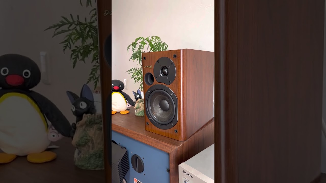 ONKYO D-202A II LTD - YouTube