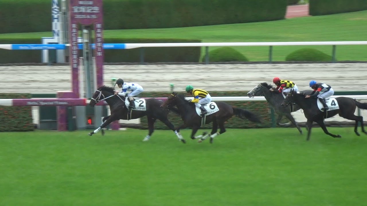 クロワデュノール 新馬戦 馬券 クロワデュノール 新馬戦 馬券 東京5R・