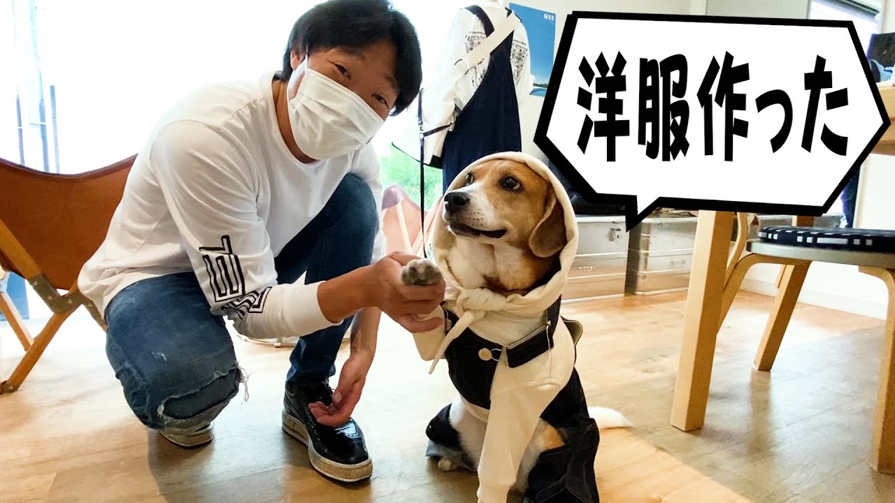 犬服 なおみ♥ ご確認 ハンドメイド わんこ服工房 Ponnu - 作品一覧