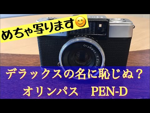 良く写るハーフカメラ、オリンパスPEN-Dで撮影してきました😊 #ハーフ