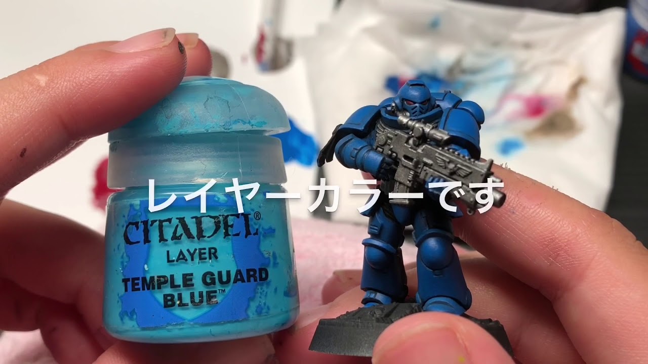 What is the Citadel Color 