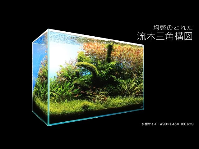 MRW-6128 赤系天然流木 90cm水槽レイアウトセット 流木 アクアリウム