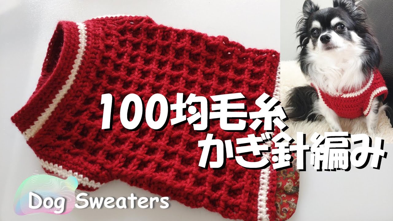 かぎ針犬用セーター】意外と簡単ワッフル編みで可愛い犬用セーターを