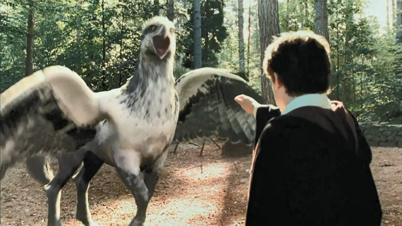 ハリポッターの鳥 ハリポッターの鳥 ヒッポグリフ | Harry Potter Wiki