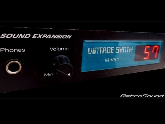 希少！Roland M-VS1 サウンドエクスパンション Roland M-VS1 Vintage