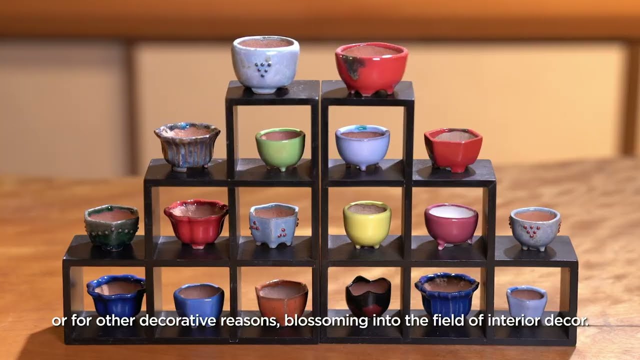 Introduction of Japanese Bonsai Pots in Tokoname - Short Ver
