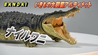 ナイルワニ》いきもの大図鑑アルティメット 開封レビュー