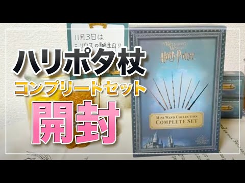 ハリーポッター ミニチュアワンドセット ユニバ ハリポタ 杖 ハリー